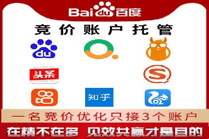 网络推广与竞价优化成功案例
